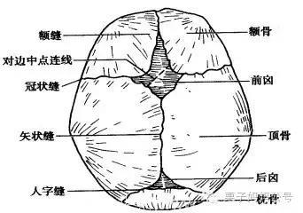 囟门闭合越晚以后越聪明？你可别被骗了！