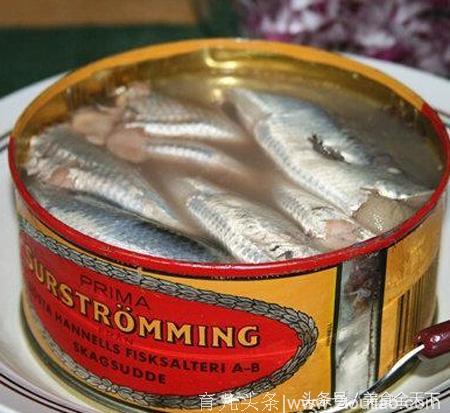 揭秘｜瑞典美食鲱鱼罐头的制作方法（友情提示，不要随便购买，很容易没朋友的！）