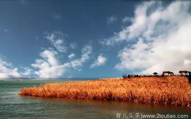 上海的美食不一定在是市区，崇明岛就很好吃