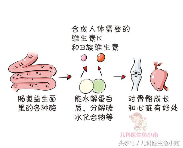 宝宝能像吃酸奶一样长期吃益生菌吗？医生说出真相，颠覆爸妈认知