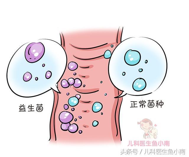 宝宝能像吃酸奶一样长期吃益生菌吗？医生说出真相，颠覆爸妈认知