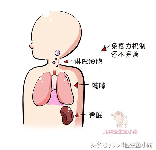 为什么宝宝一上幼儿园就容易生病？医生：这3点家长必须要知道