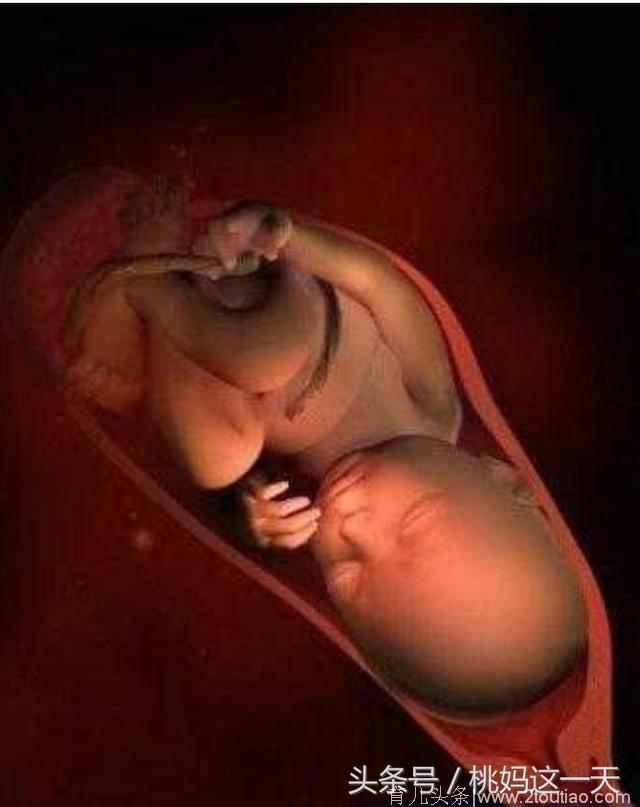 腹中胎儿每个月是长什么样子的，快要当妈的你想知道么？