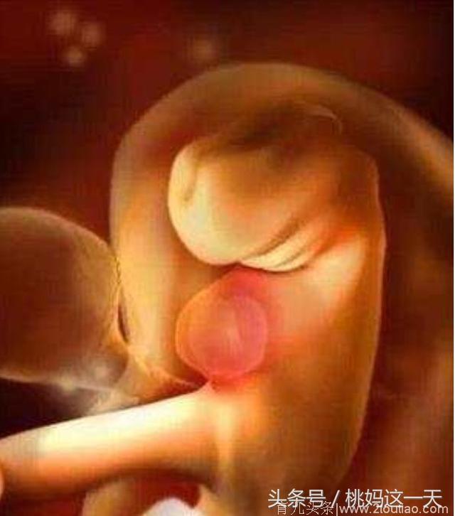 腹中胎儿每个月是长什么样子的，快要当妈的你想知道么？