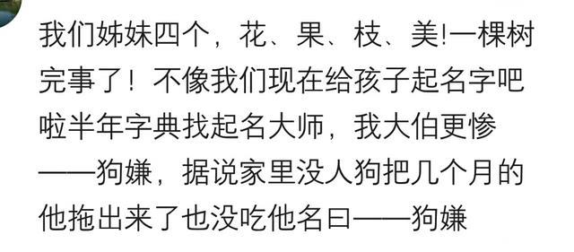 说说你的名字都包含了哪些寓意？我就服那个段二歪和林少鸟！