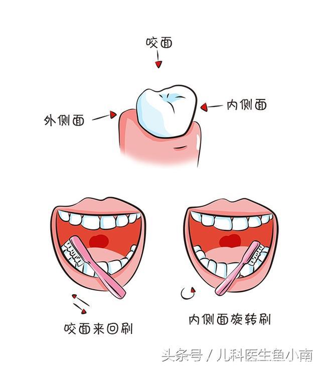 想要宝宝牙齿好，医生：这5个问题爸妈越早知道就越好