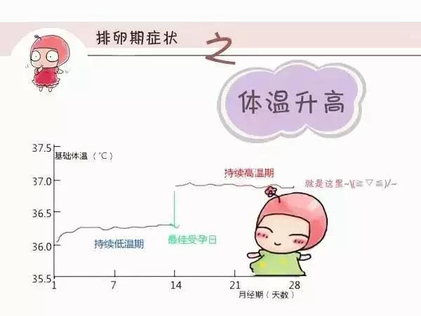 备孕要掌握的五个关键，你知道几点?