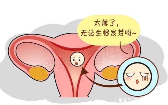 子宫内膜太薄导致无法怀孕？这两个原因会让子宫越来越薄！
