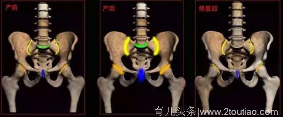 医生表示：抓住产后恢复“黄金期”，谨记七步走才能又一次重生