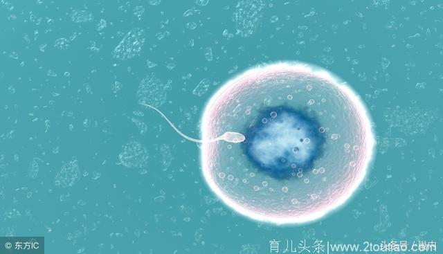 据说，备孕期间取出空卵泡，说明有这4大征兆，对孕妇胎儿都不好