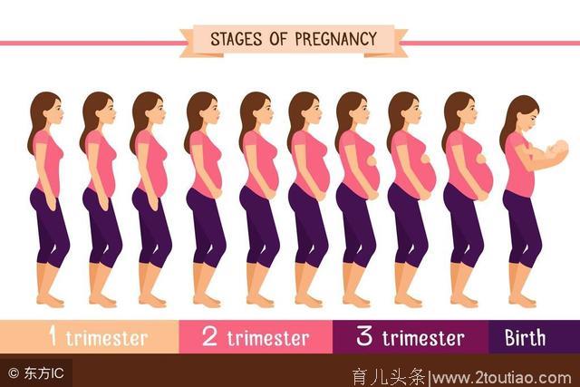 怀孕六个月 孕妈妈应该知道的六点 怀孕育儿锦囊