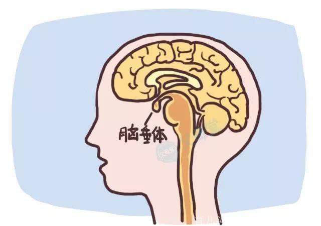 孩子2大黄金睡眠时间別错过！神“泌”生长激素最重要