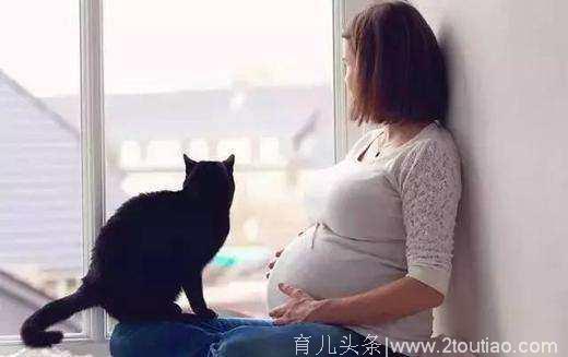 怀孕出现这3种不正常情况，说明胎儿很难受，孕妈千万要注意