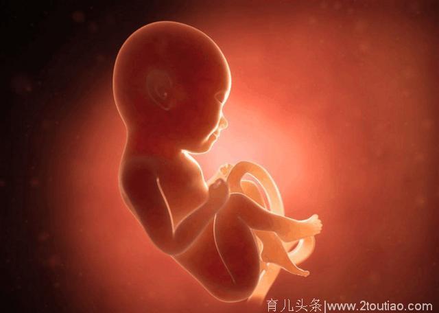 怀孕很辛苦，孩子在妈妈的身体里会难受吗，看完心疼宝宝