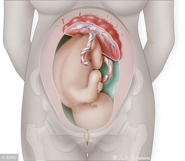 孕36周出现这5种感受，预示着胎儿已顺利入盆！内附胎儿入盆图解~