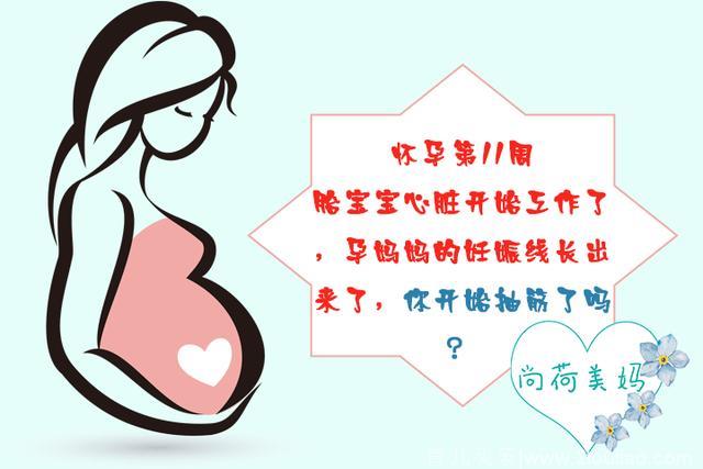 怀孕第11周，胎儿心脏开始工作，孕妈妈切勿乱吃补品而引发流产