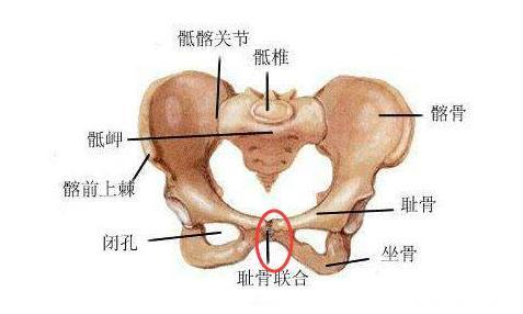 束腹带真的可以缓解耻骨疼吗？缓解产后耻骨疼，妈妈试试这几招