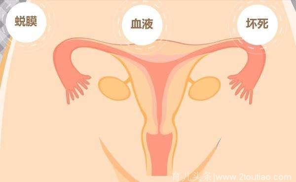 产后大象腿、大肚腩下不去？做到这7点，轻松恢复孕前