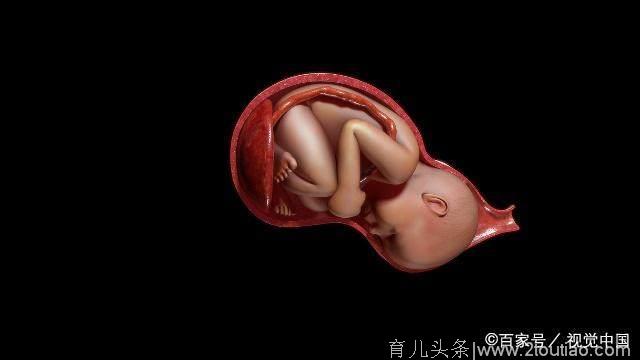 O型血的妈妈怀孕，胎儿一定会发生溶血吗？专家告诉你答案