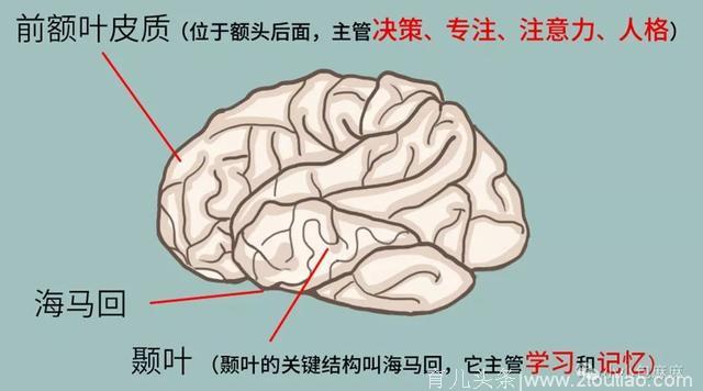 颠覆三观！这句俗话竟骗了我们20年