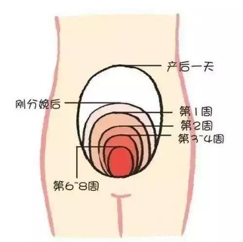 原来剖腹产后月子要这样坐，和顺产大不相同，格外注意这8项事情