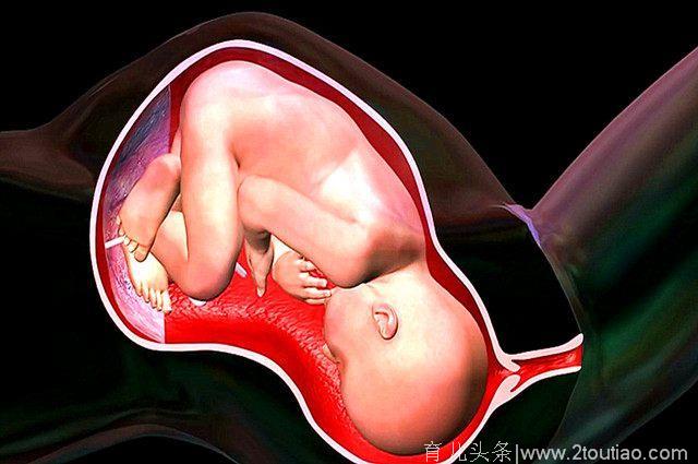 顺产时，原来胎儿是这种感觉，宝宝的想法可不比妈妈少呀