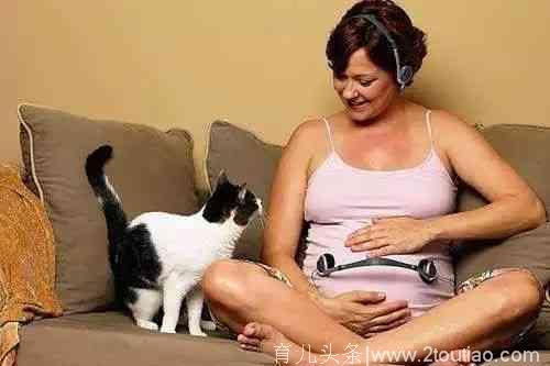要科普多少次，你才相信怀孕也可以养猫？