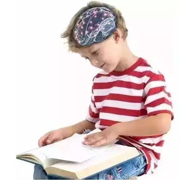 4岁幼儿认知发展特点与阅读建议