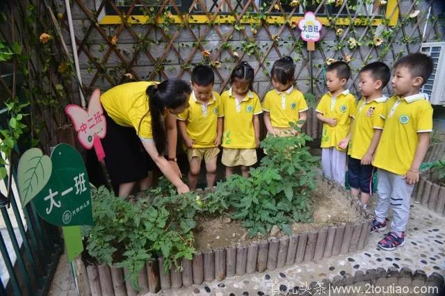 太传奇！蔡甸这所幼儿园，又像国学馆，又像疯狂游乐场！