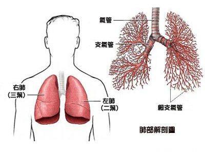 很遗憾，肺癌被发现时已是中晚期！出现这6个特征，要及时检查