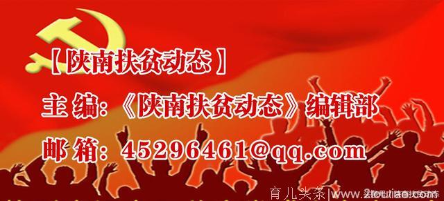 镇巴县第四届幼儿体操大赛 观音镇中心幼儿园再创佳绩