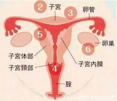 子宫内膜太薄无法怀孕？这几件事会让子宫越来越薄，好心情很重要