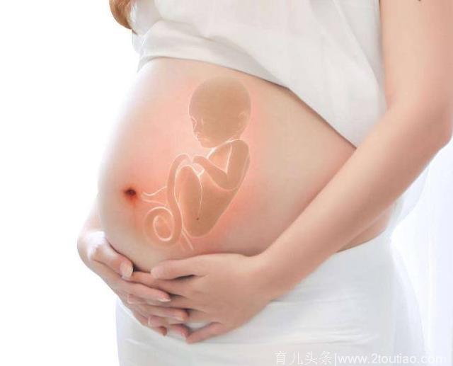 怀孕后不显怀，是胎儿发育不好么？别担心，原因在这里