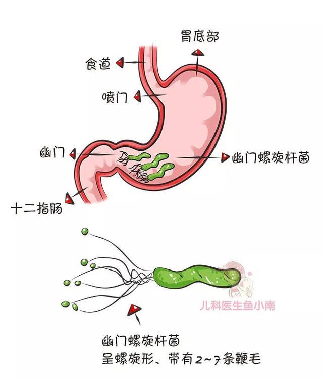 你还经常亲吻宝宝？小心传染宝宝这个病菌，超过一半中国人都携带