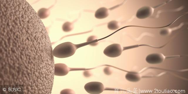 5种食物养“精子”，常吃男性生育能力强，备孕成功率高