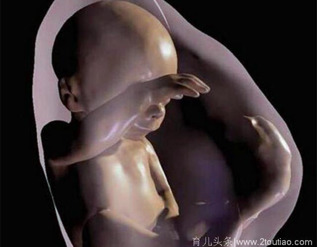 胎宝宝在孕妈肚子里也是个“小忙人”，每天都要做很多“正经事”