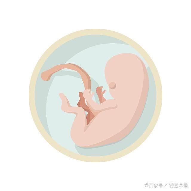 第一次胎动什么时间出现？怀男孩胎动早，怀女孩胎动晚？