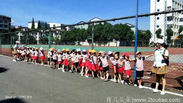 常德市桃源县实验幼儿园：走进小学 感悟成长