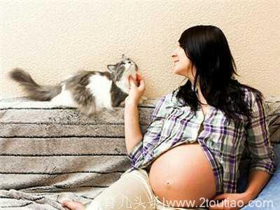 谁说怀孕不能养宠物？只要做足这些准备完全没问题！