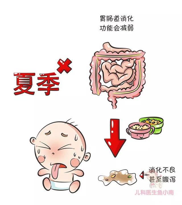 夏天热冬天冷，宝宝什么时候断奶最好，为什么不建议夏天断奶？