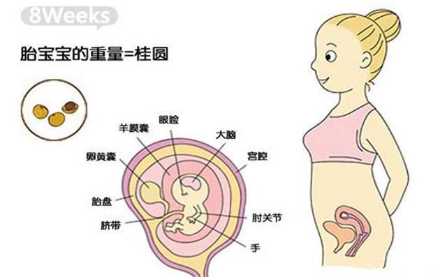 真相来了，孕吐的实在太难受了，吃什么都吐，什么时候是个头啊？