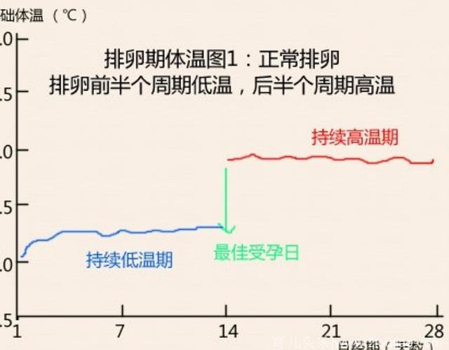 备孕半年没成功，速速用这个方法备孕，命中率会高出很多