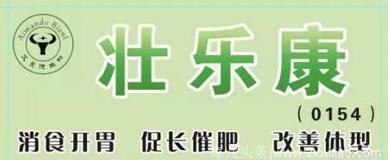 小母牛、大母牛、产后共三篇技术