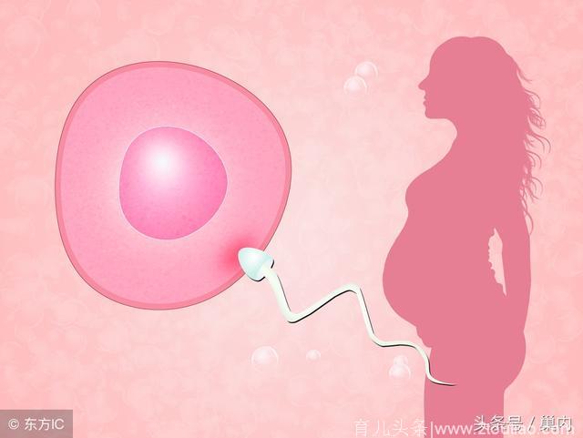 7月8号去医院验血，得到官方确认怀孕，也祝备孕小姐妹接宫内好孕