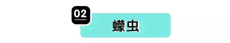 去个公园娃就毁容了？遇到这些小虫千万别乱拍！