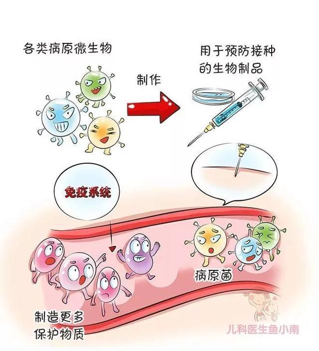 1类疫苗要打，2类要不要打？爸妈最关心的疫苗问题，一篇网罗