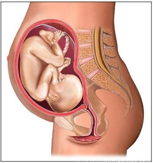要想产后子宫恢复好，这8个行为千万别犯，尤其是想要二胎的妈妈
