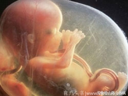 满心欢喜迎二胎，怀孕六个月准妈妈却含泪拿掉男宝！