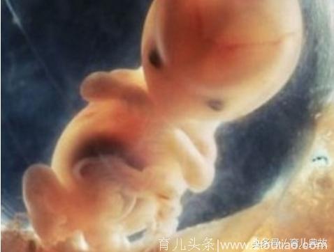 满心欢喜迎二胎，怀孕六个月准妈妈却含泪拿掉男宝！