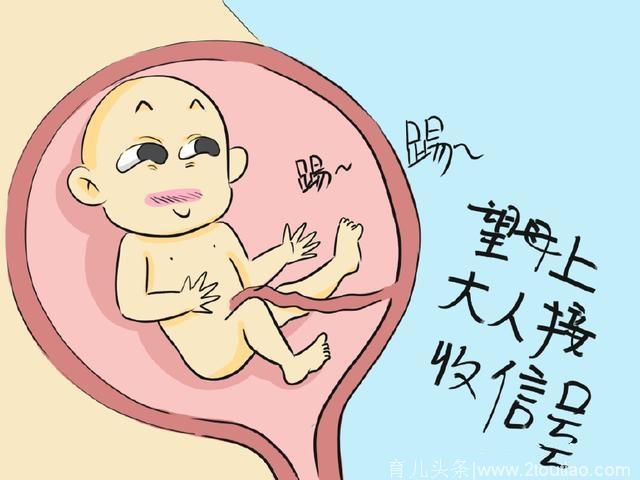 怀孕后，胎动表示两种信号，意义截然不同，孕妈们弄懂了吗？